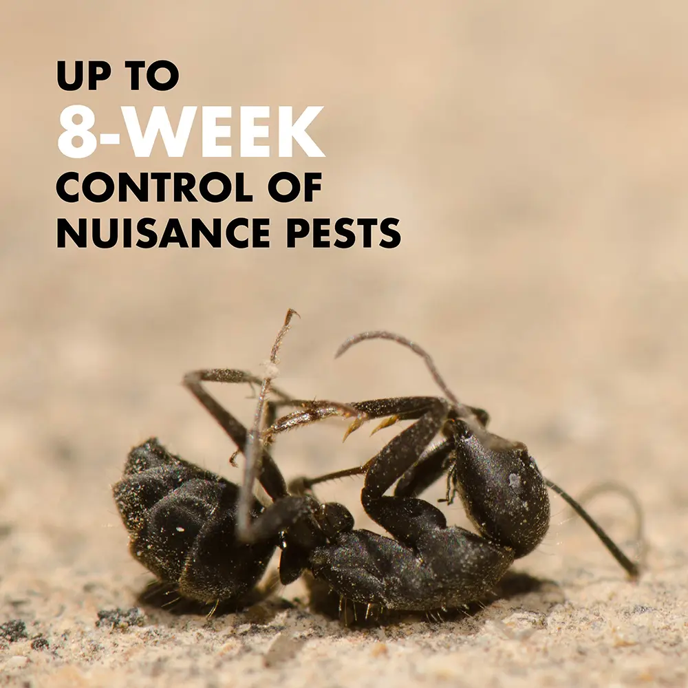 Up to 8 -week control of nuisance pests