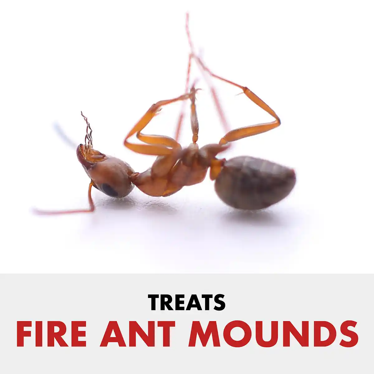 HG-96470 Fire Ant Shield® Mound Destroyer® Granules 3.5 lb - Treats Fire Ant Mounds