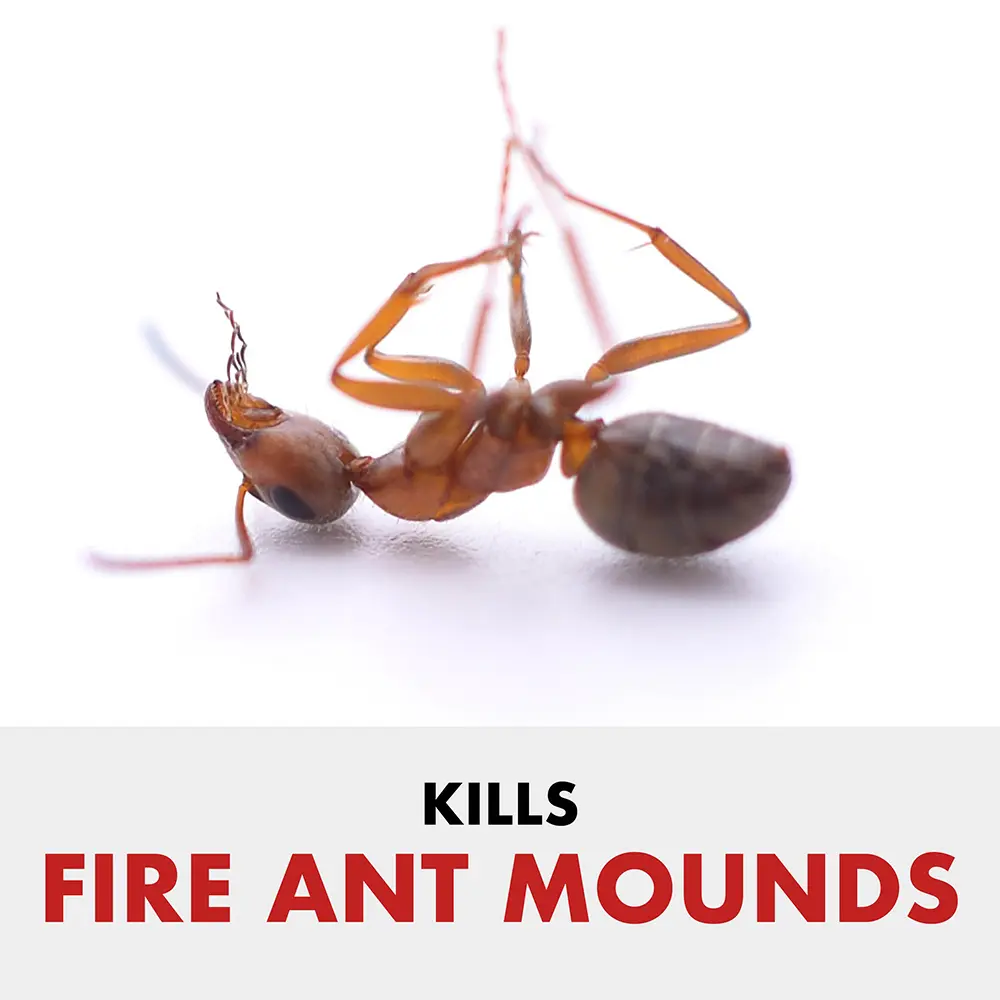 Kills Fire Ant Mounds