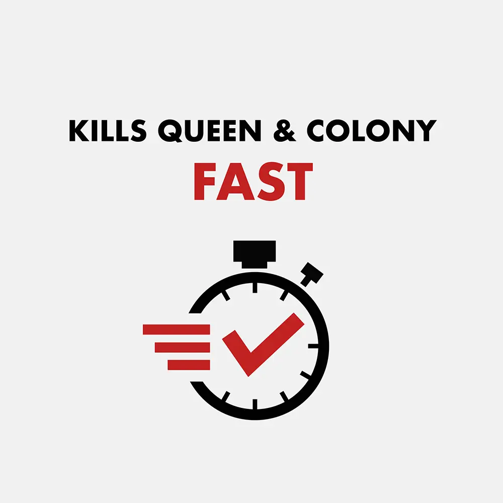 Kills Queen and Colony Fast
