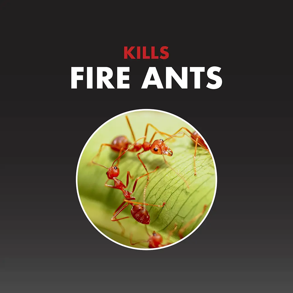 Kills Fire Ants