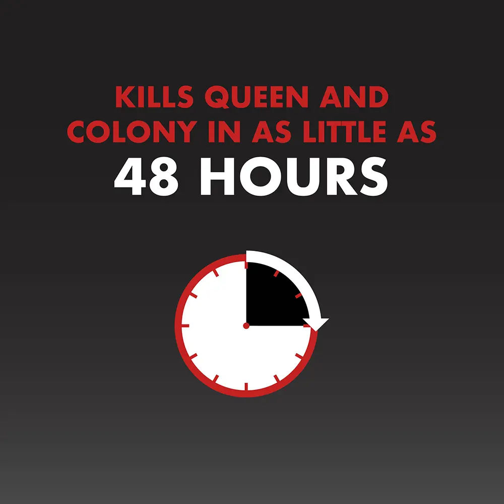Kills Queen and Colony in as Little as 48 Hours