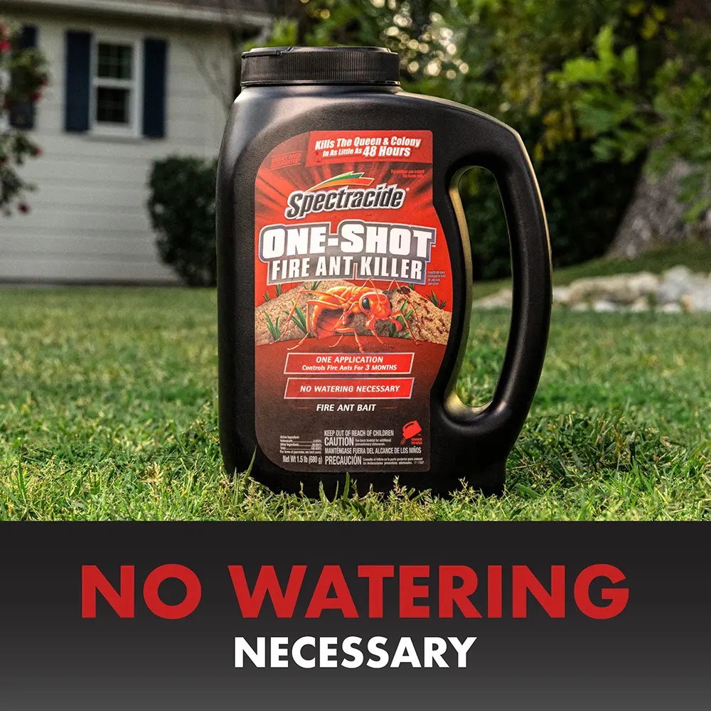 No watering necessary