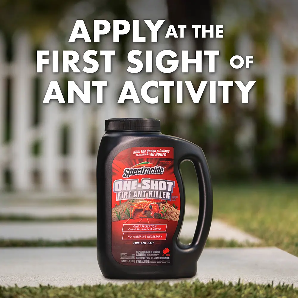 Apply at the First Sight of Ant Activity