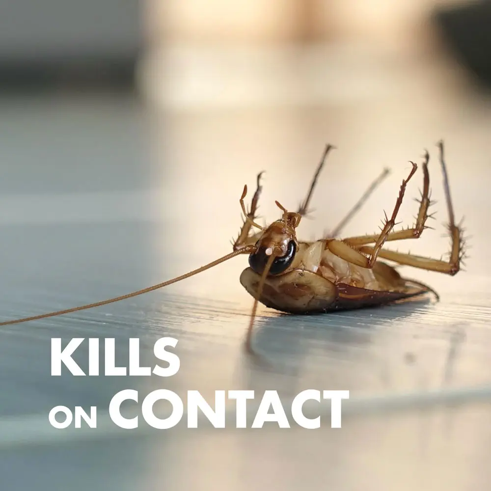 Kills on Contact