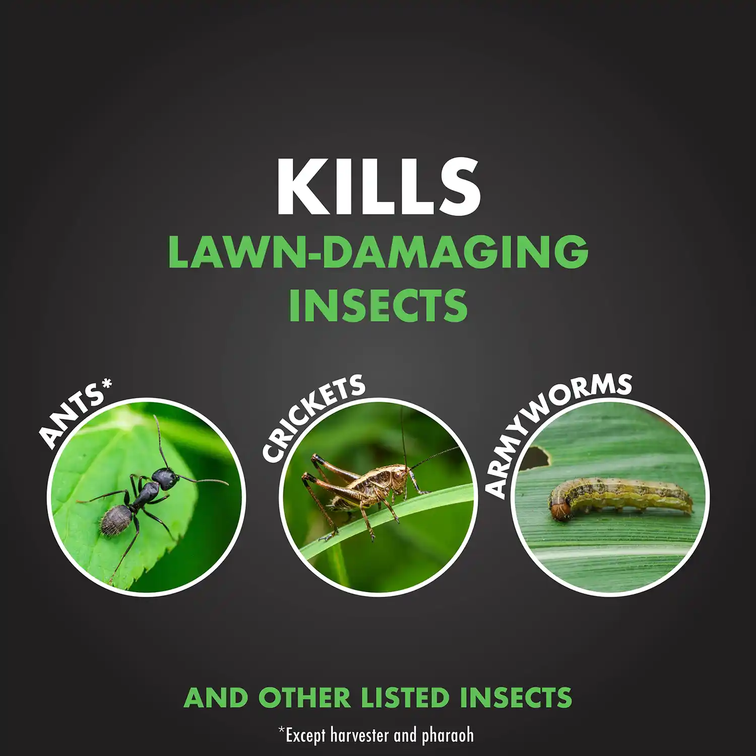 KILLS LAWN-DAMAGING INSECTS ANTS* CRICKETS ARMYWORMS AND OTHER LISTED INSECTS