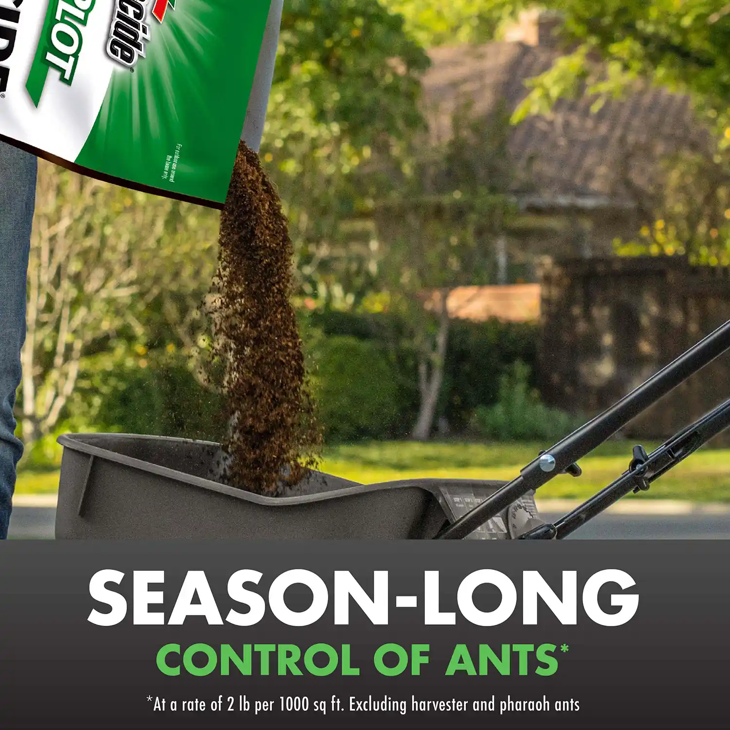 SEASON-LONG CONTROL OF ANTS* *At a rate of 2 lb per 1000 sq ft. Excluding harvester and pharaoh ants