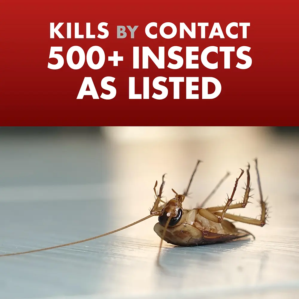 Kills by Contact 500+ Insects as Listed