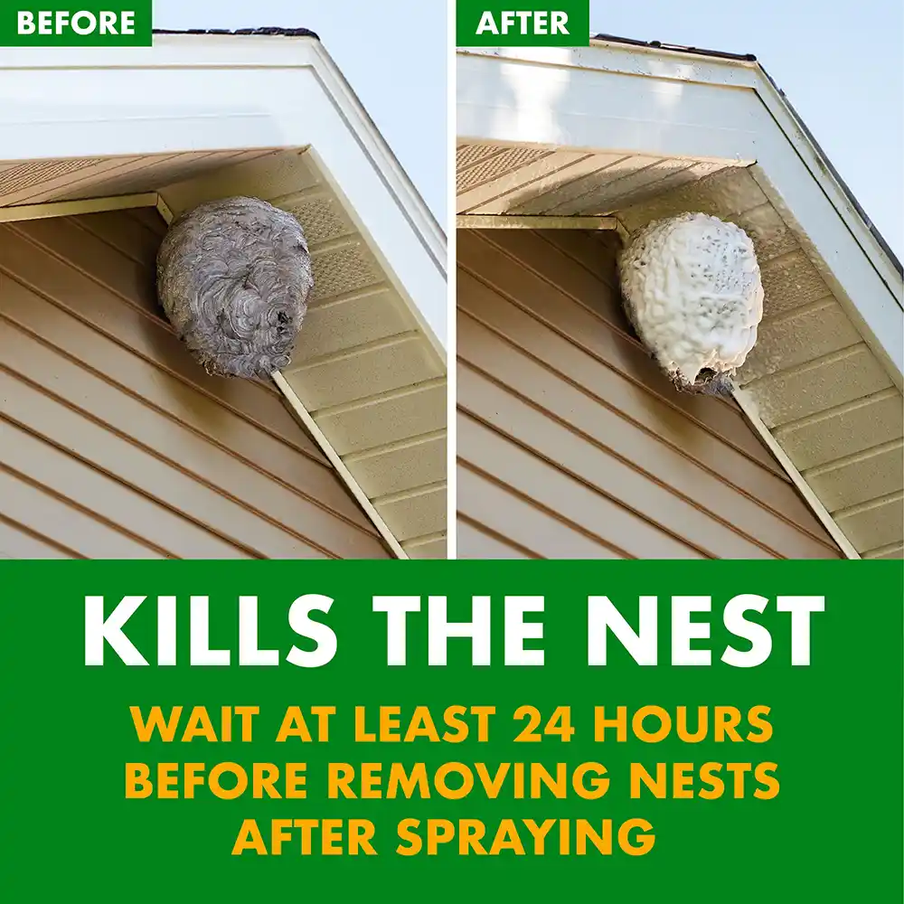 Kills the Nest: Wait at Least 24 Hours Before Removing Nests After Spraying