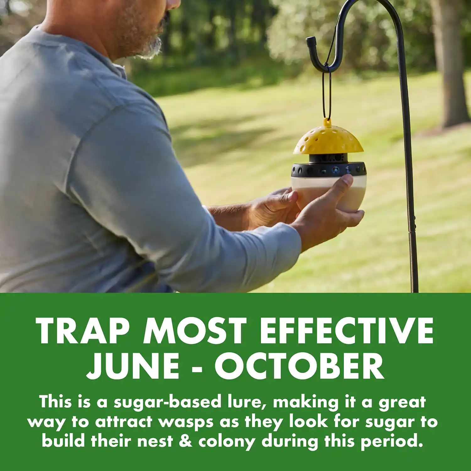 TRAP MOST EFFECTIVE JUNE - OCTOBER This is a sugar-based lure, making it a great way to attract wasps as they look for sugar to build their nest & colony during this period.