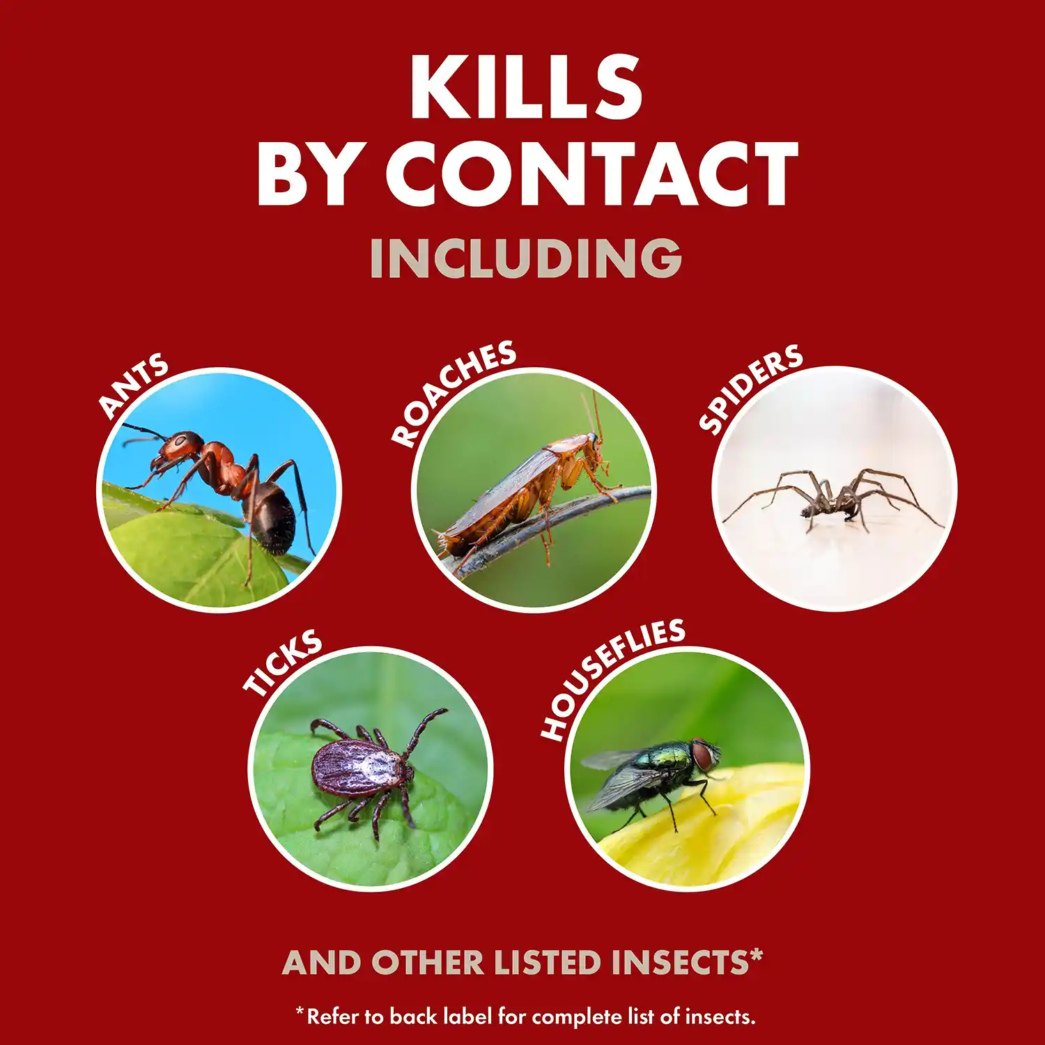 KILLS BY CONTACT INCLUDING ROACHES TICKS SPIDERS HOUSEFLIES AND OTHER LISTED INSECTS* * Refer to back label for complete list of insects.