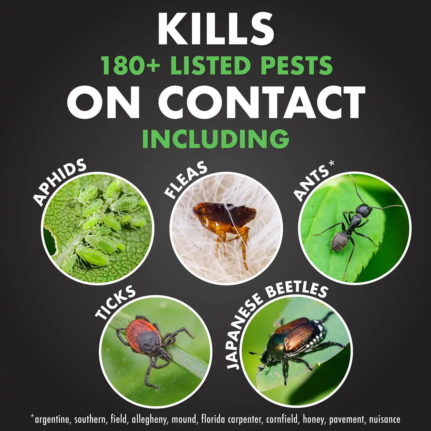 KILLS 180+ LISTED PESTS ON CONTACT INCLUDING