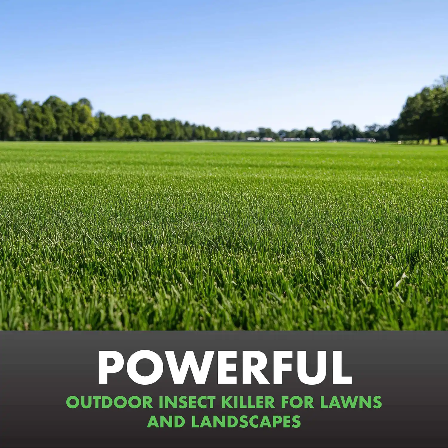 POWERFUL OUTDOOR INSECT KILLER FOR LAWNS AND LANDSCAPES
