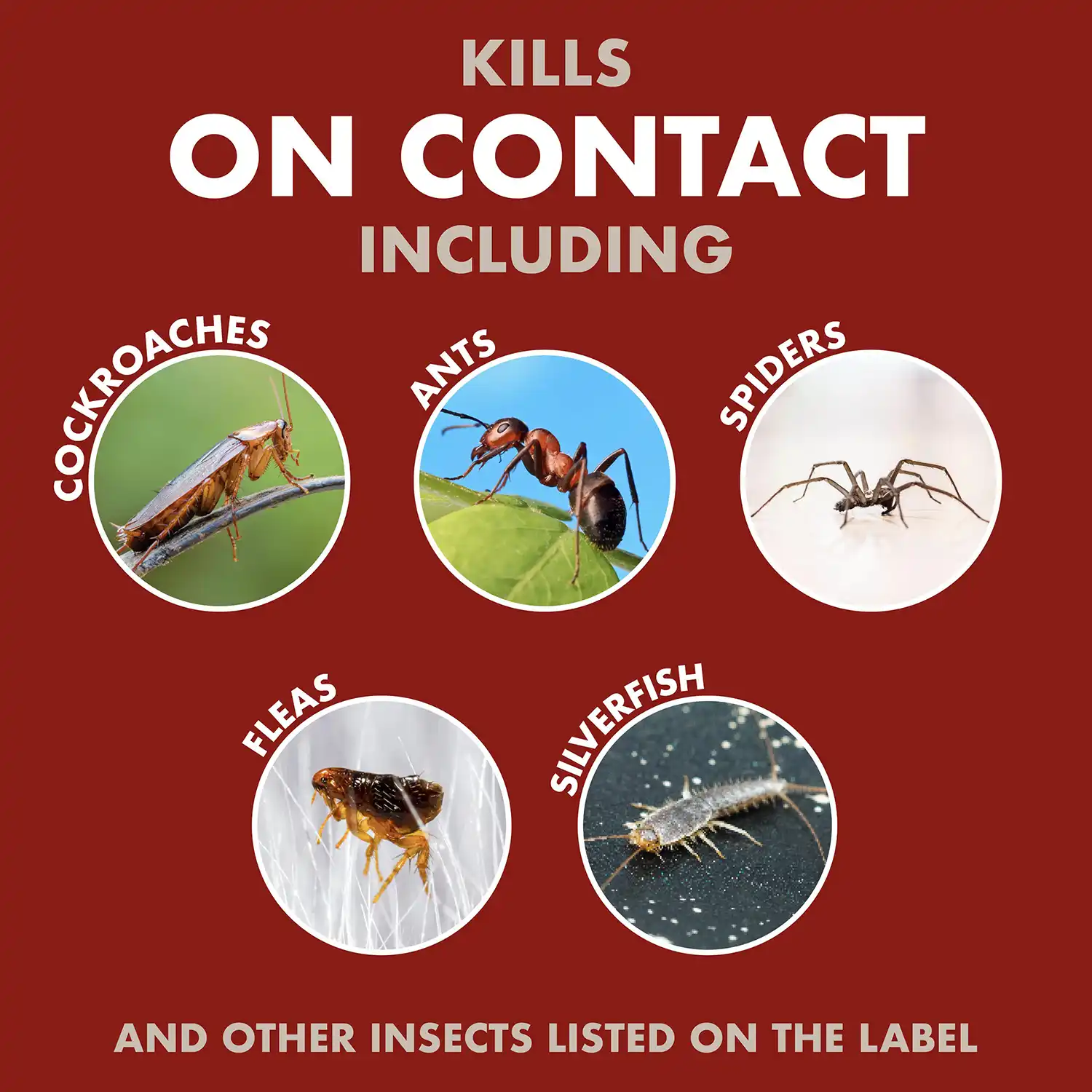 Bug Stop Kills these Pests