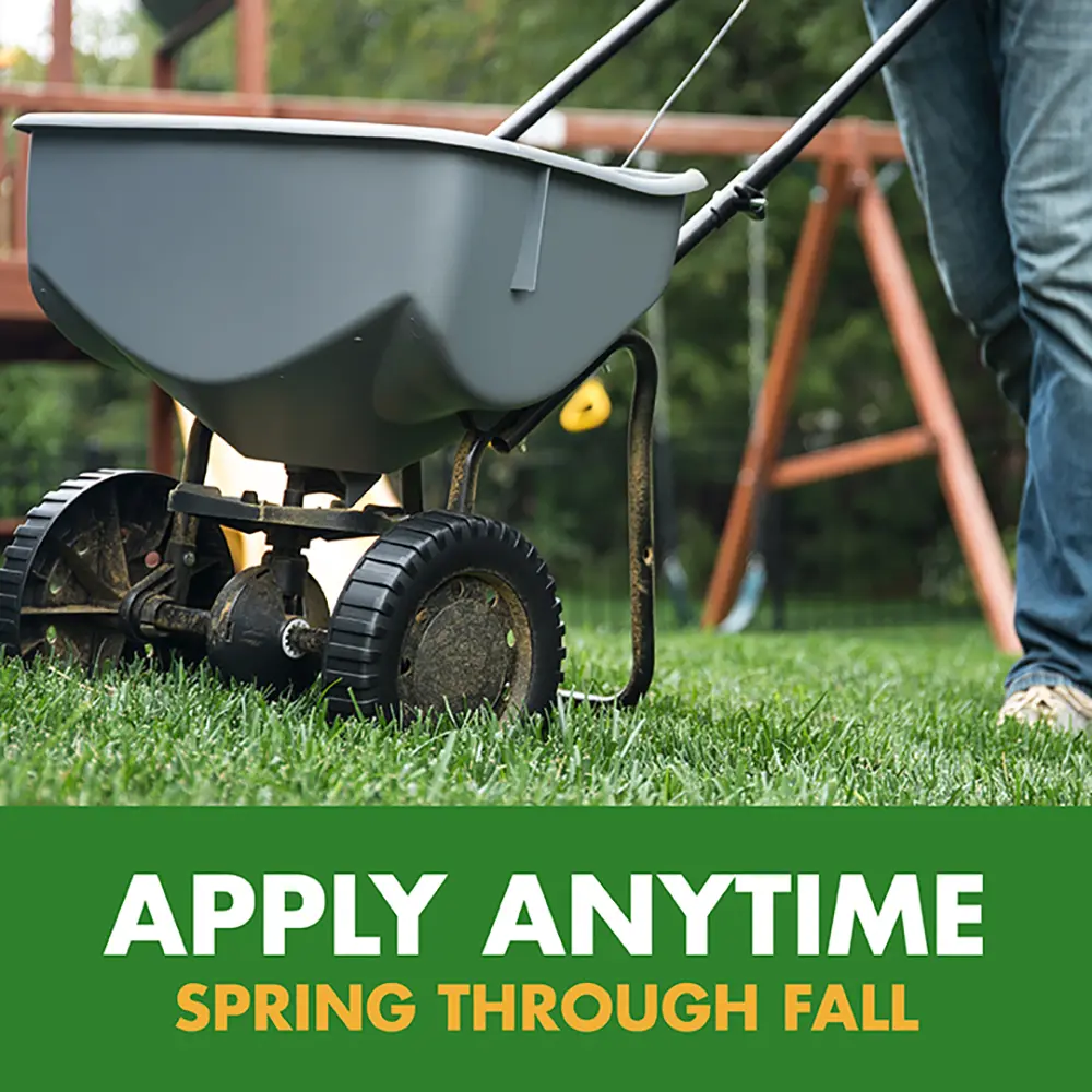 Apply Anytime Spring Through Fall