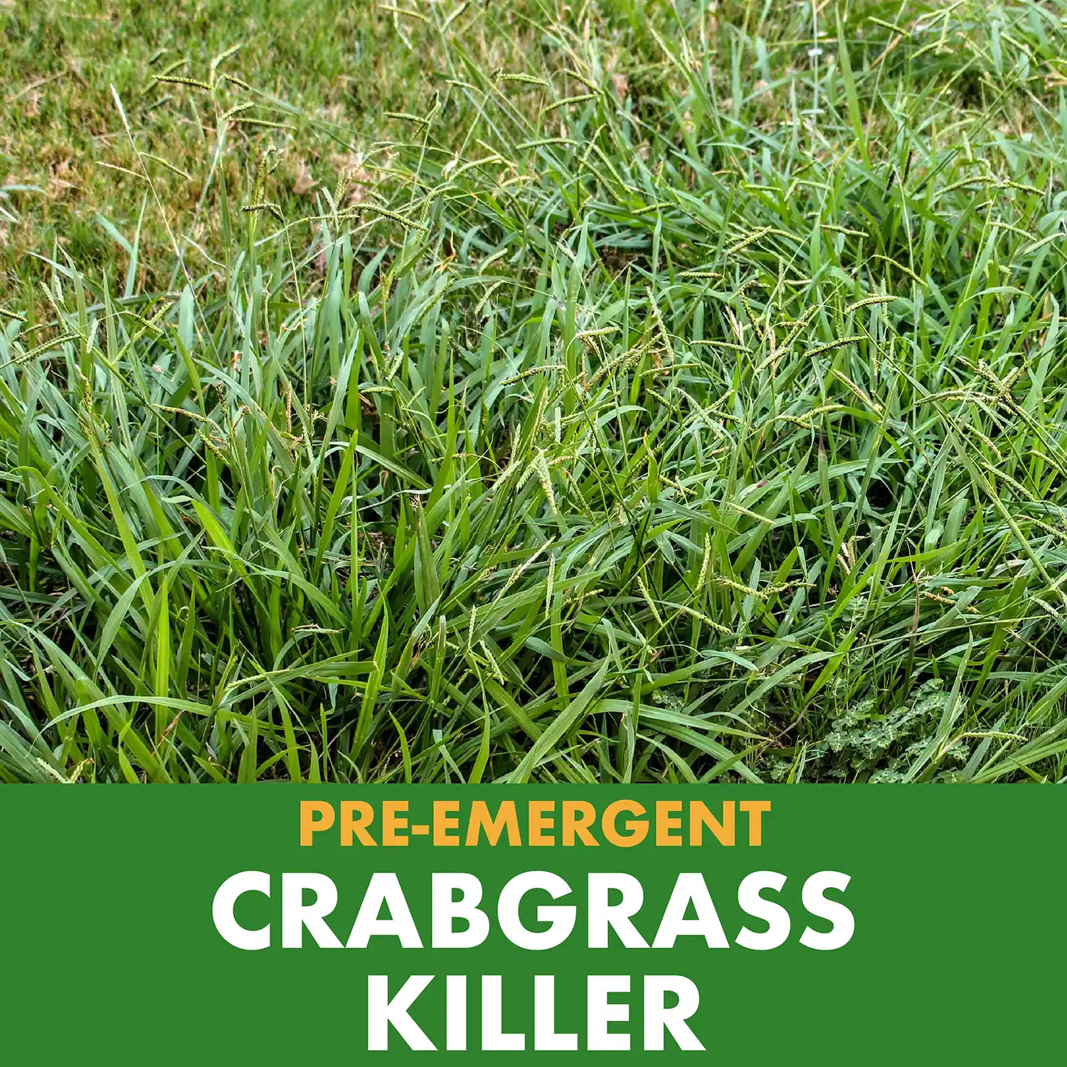 PRE-EMERGENT CRABGRASS KILLER