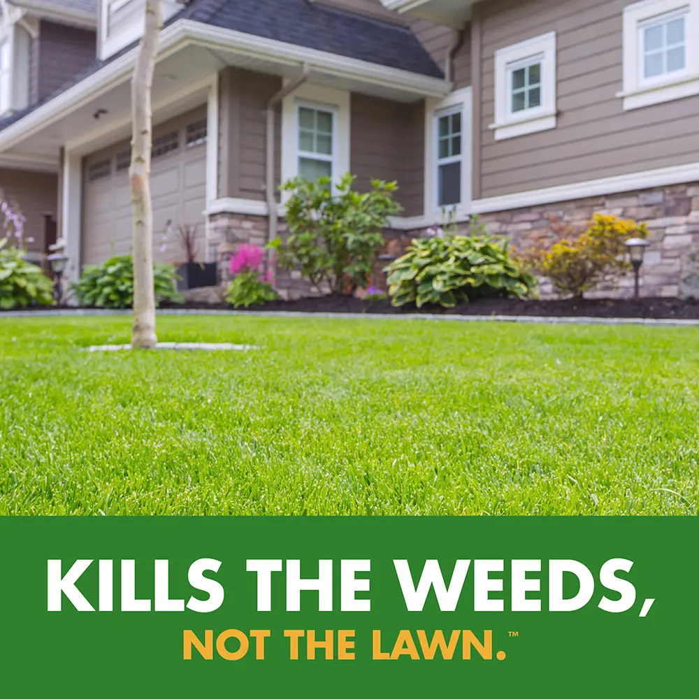 Kills the Weeds, Not the Lawn