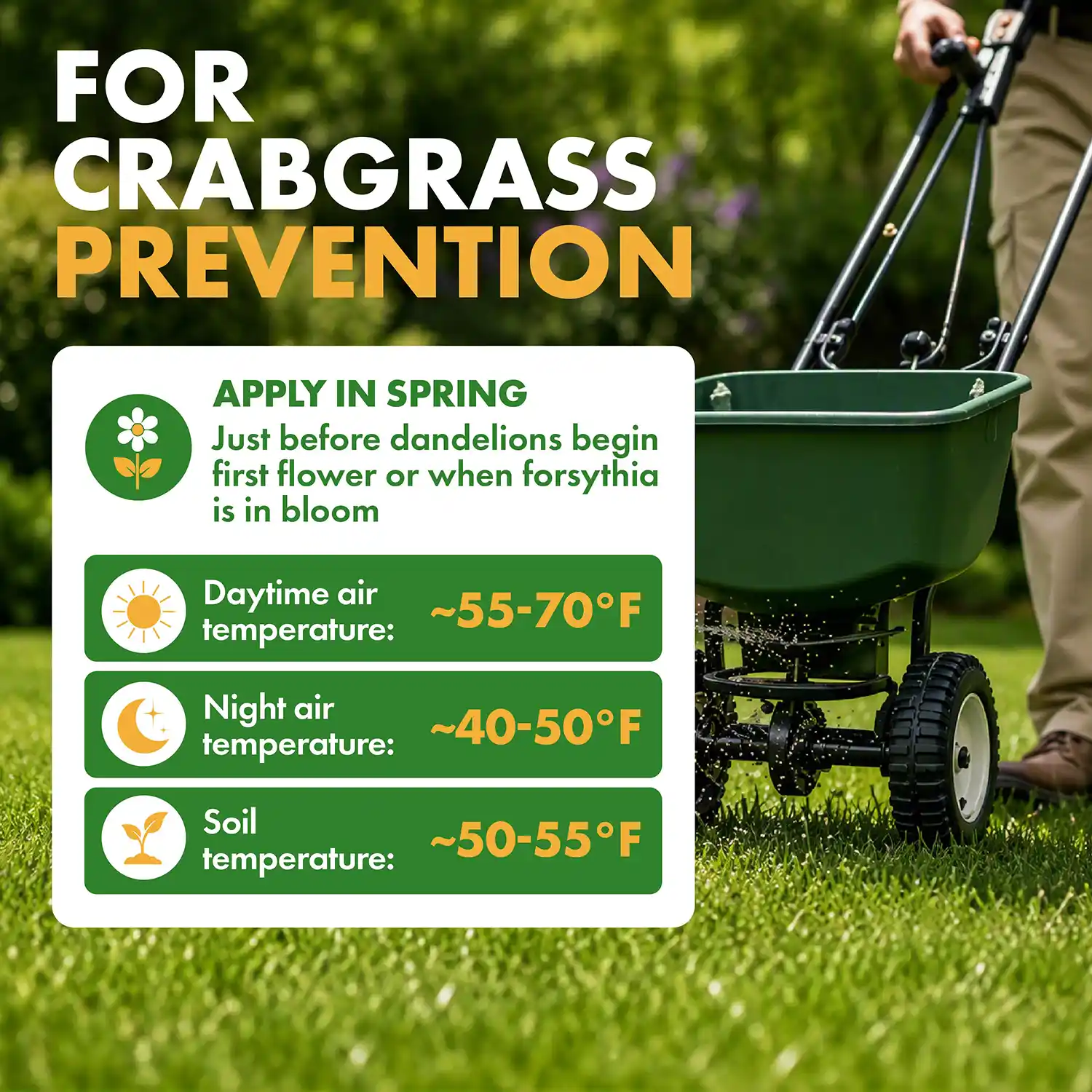 FOR CRABGRASS PREVENTION APPLY IN SPRING Just before dandelions begin first flower or when forsythia is in bloom