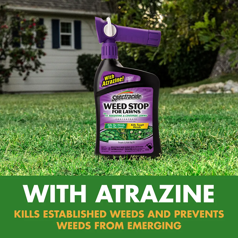 With Atrazine: Kills established weeds and prevents weeds from emerging