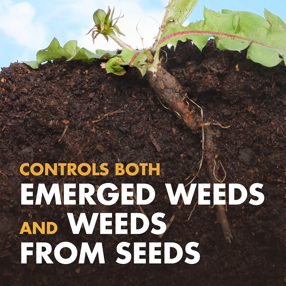Controls both emerged weeds and weeds from seeds