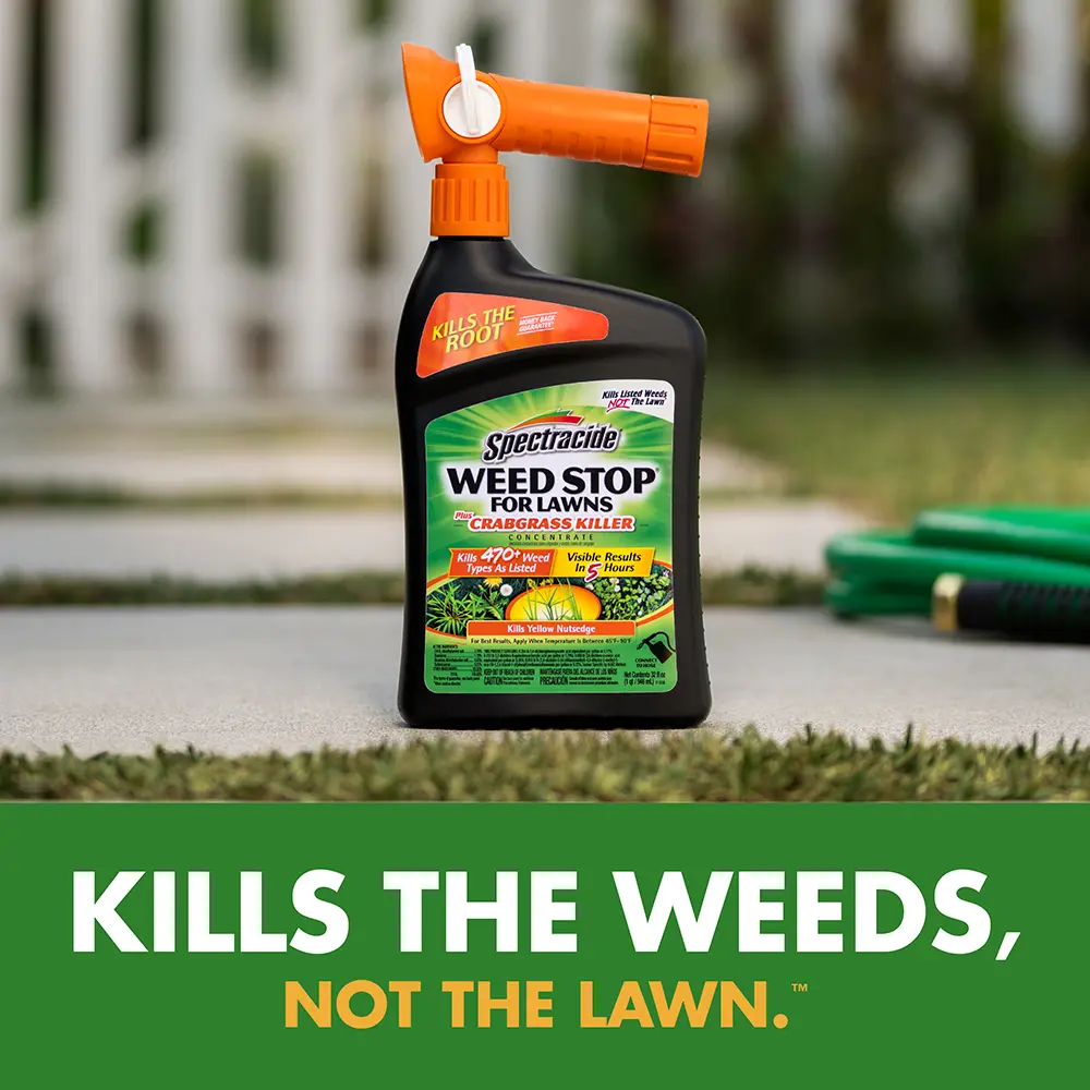 Kill the weeds, not the lawn