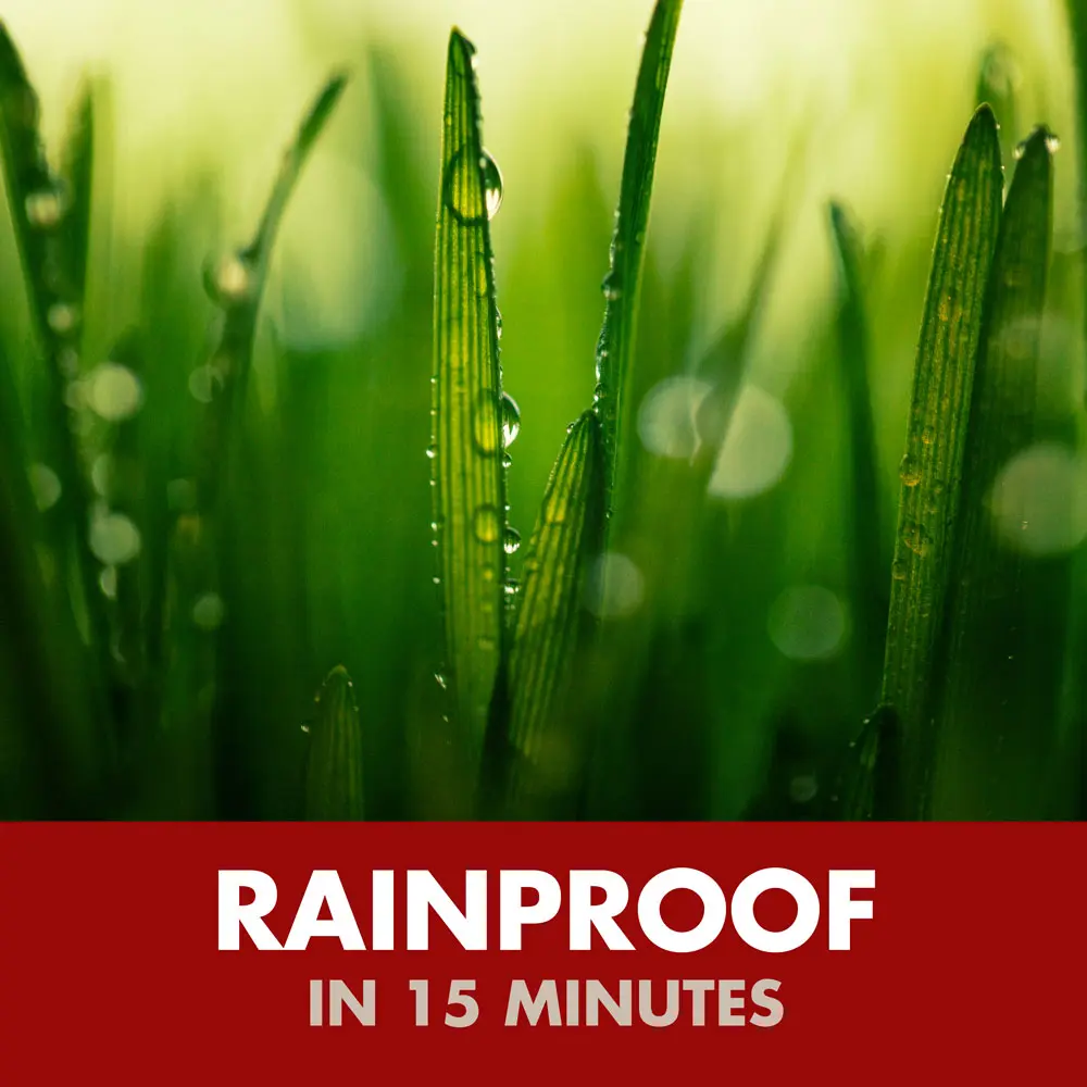 Rainproof in 15 minutes