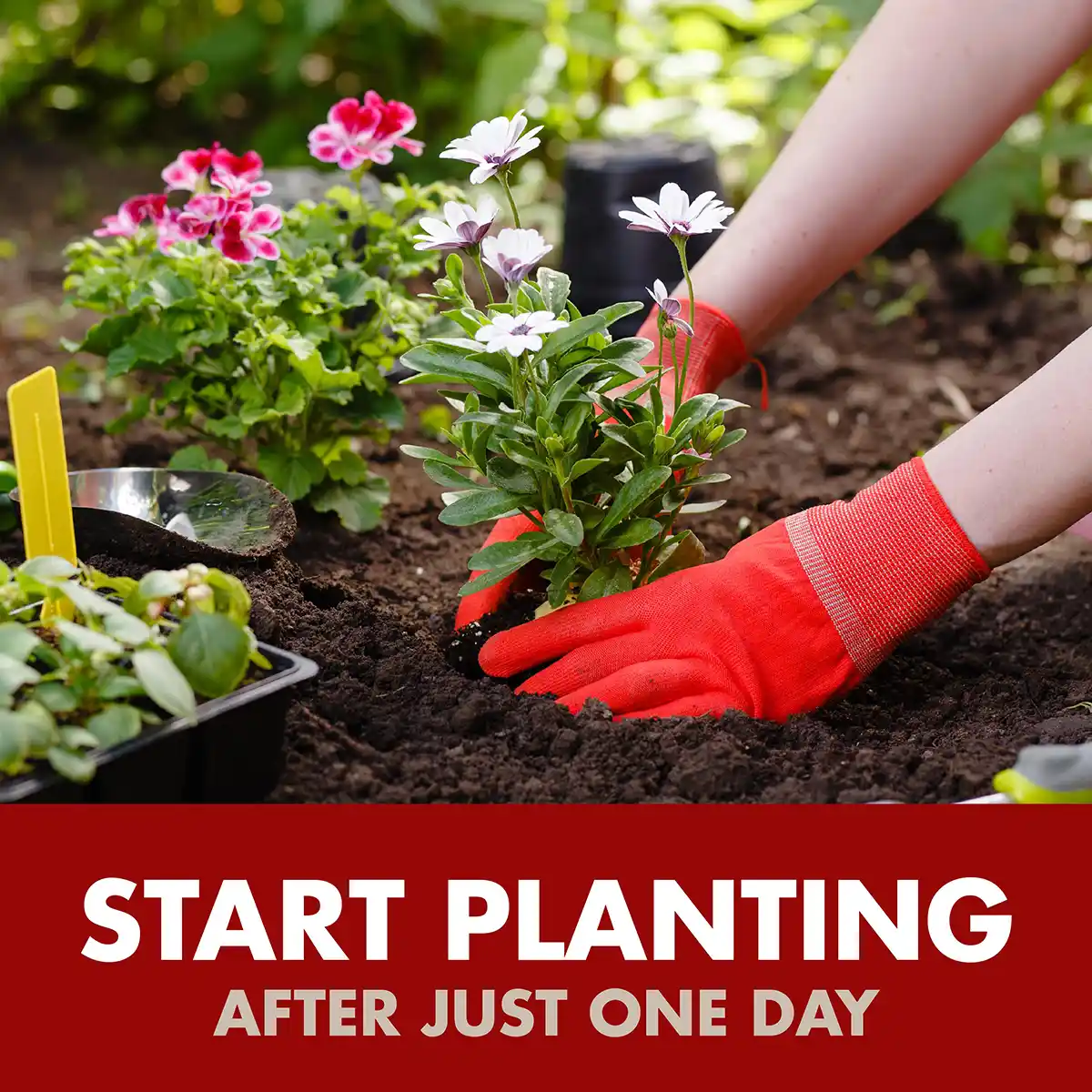 HG-96182 Weed & Grass Foaming Edger, 17 oz - Start Planting After Just One Day