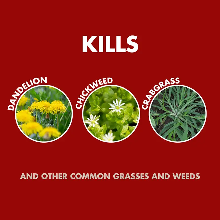 Kills dandelion, chickweed, crabgrass, and other common grasses and weeds