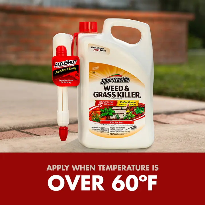 Apply when temperature is over 60 degrees Fahrenheit 