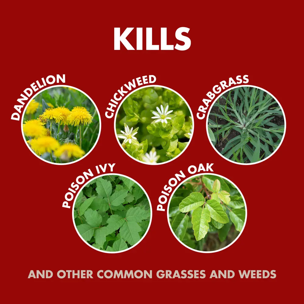 Kills dandelion, chickweed, crabgrass, poison ivy, poison oak, and other common grasses and weeds
