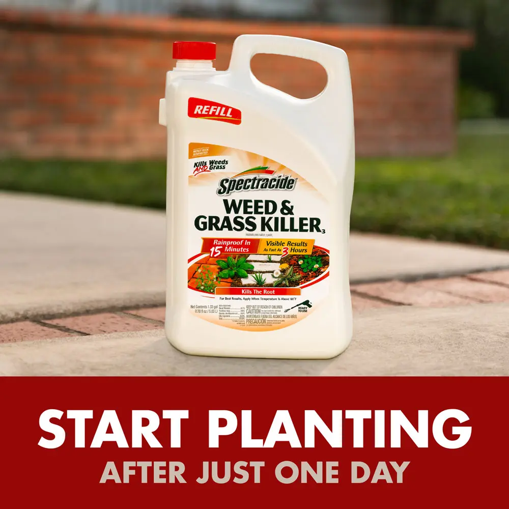Start planting after just one day