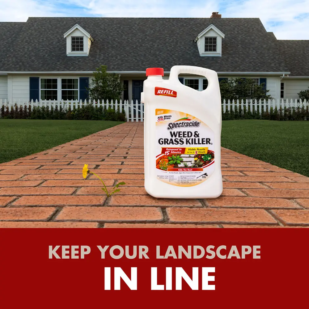 Keep your landscape in line