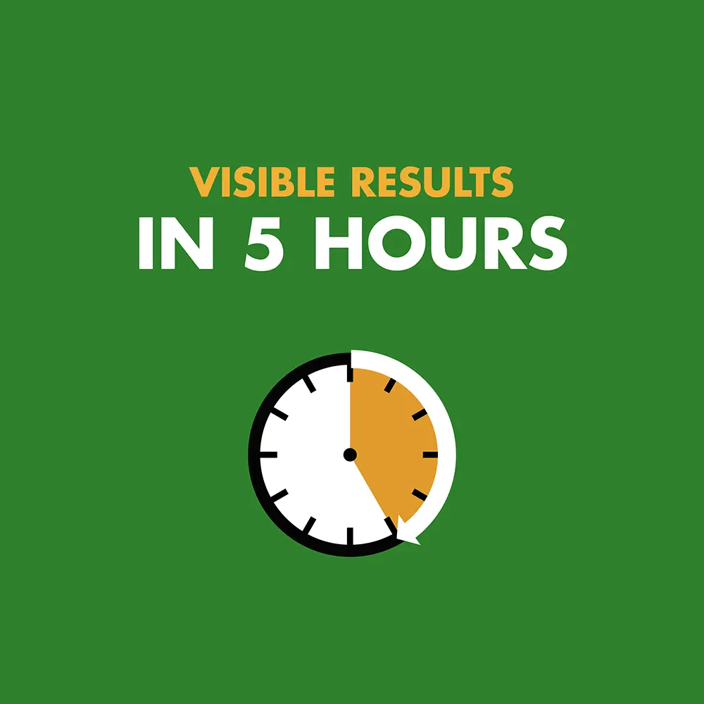 Visible results in 5 hours