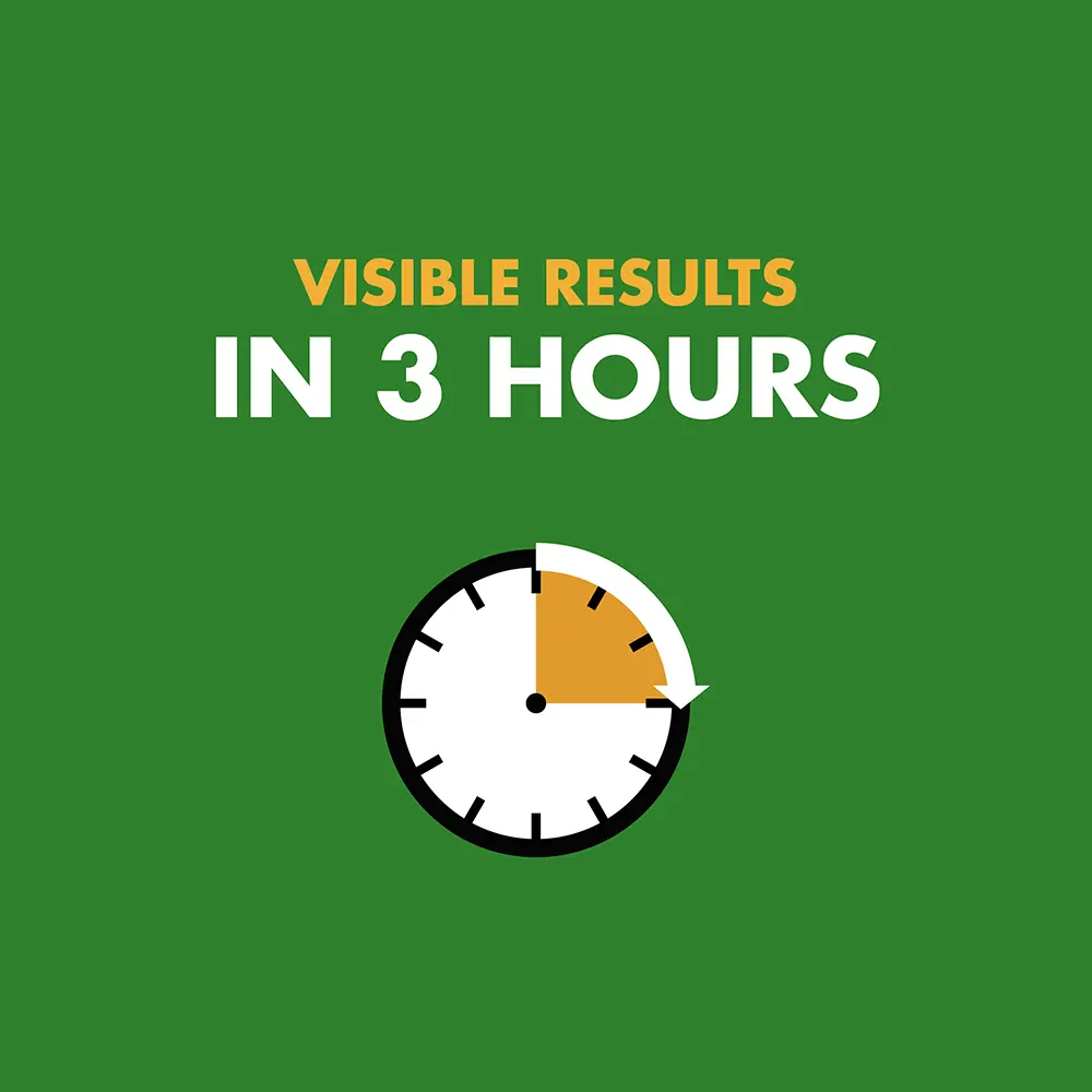 Visible Results in 3 Hours