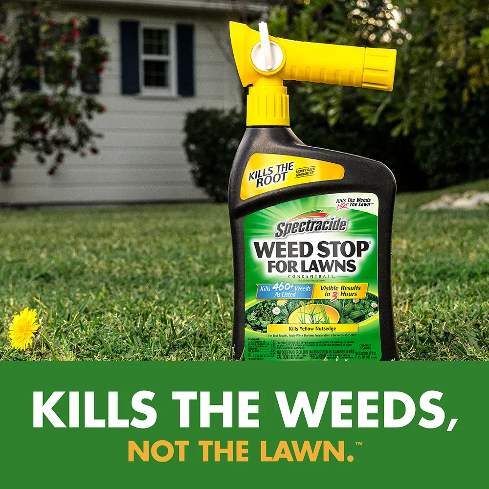 Kills the Weeds, Not the Lawn