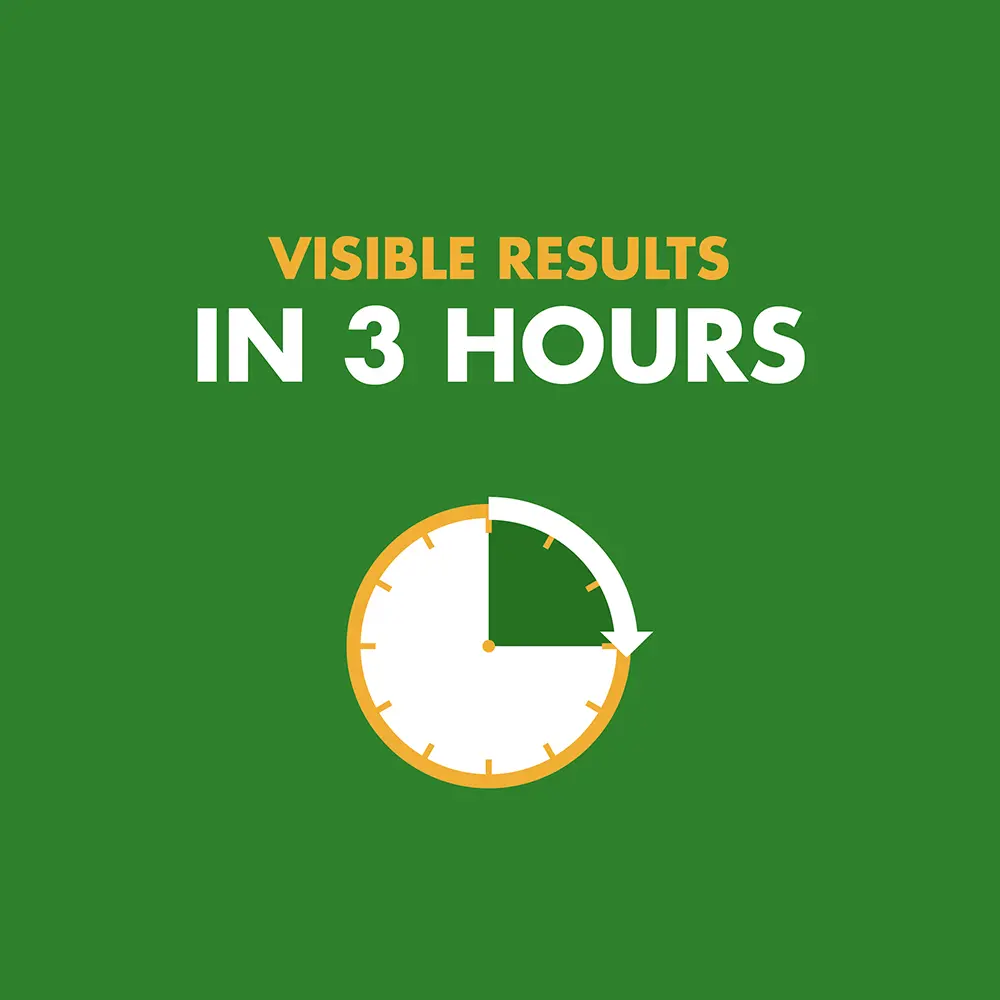 Visible results in 3 hours