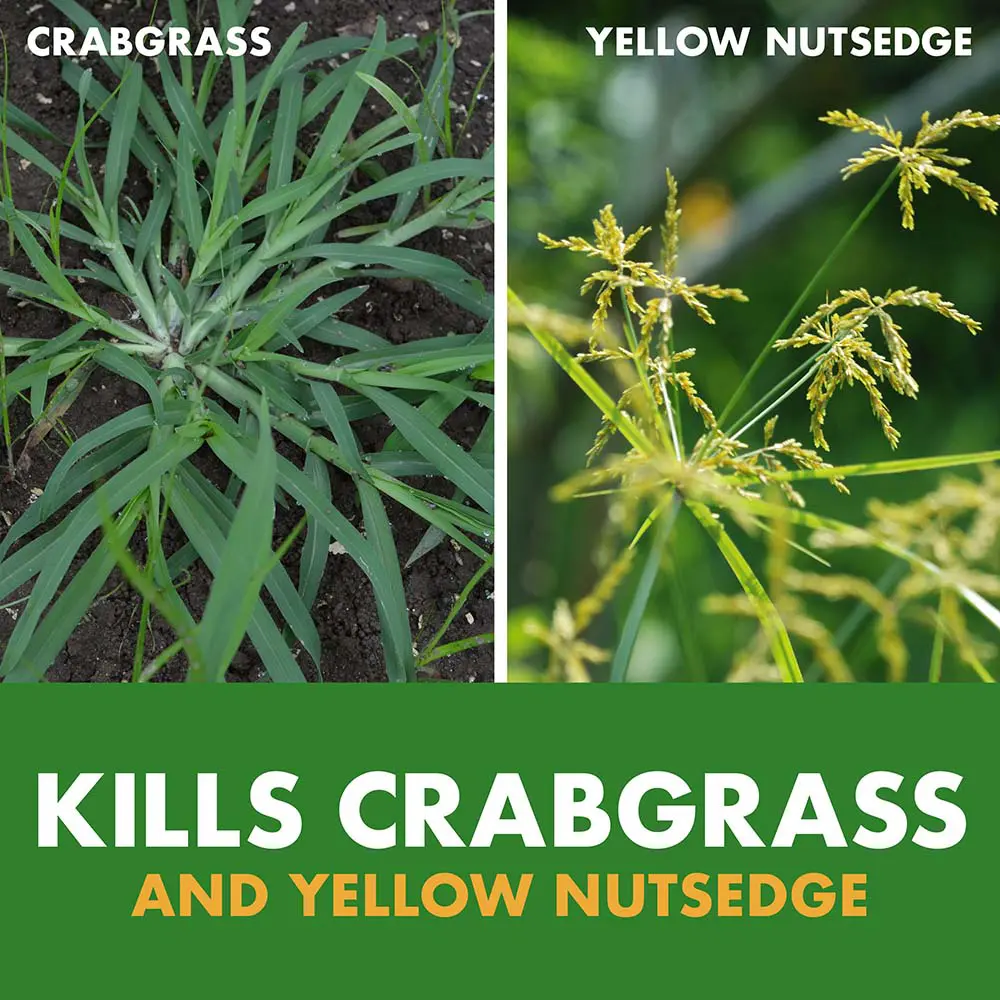 Kills crabgrass and yellow nutsedge
