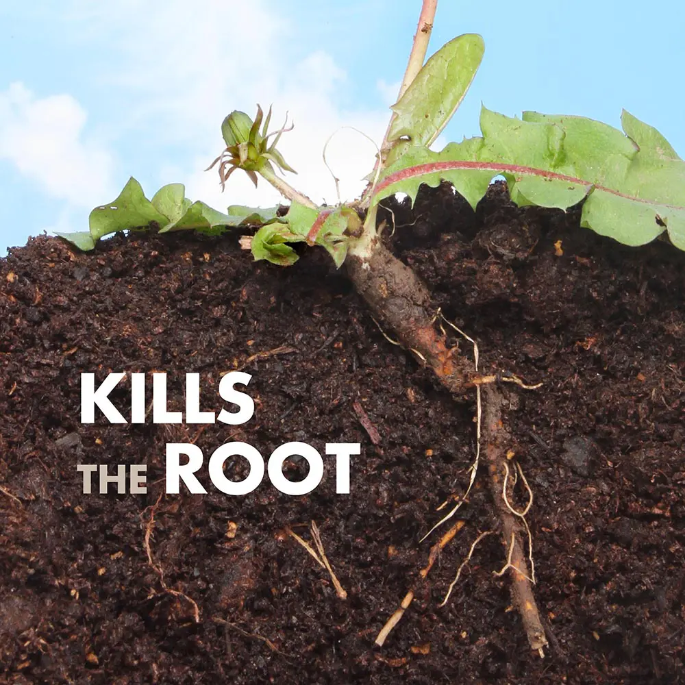 Kills the Roots
