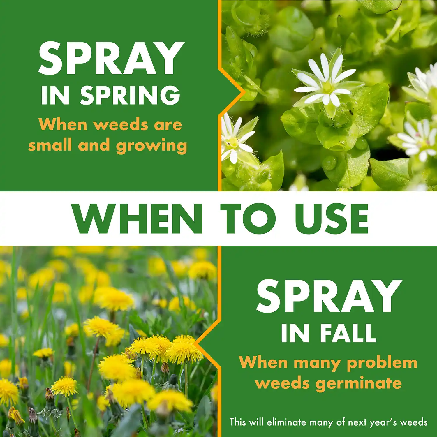 WHEN TO USE: SPRAY IN SPRING When weeds are small and growing • SPRAY IN FALL When many problem weeds germinate