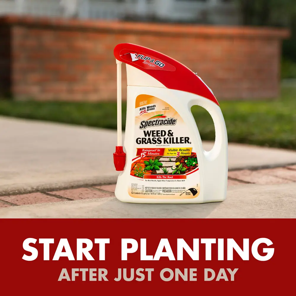 Start planting after just one day