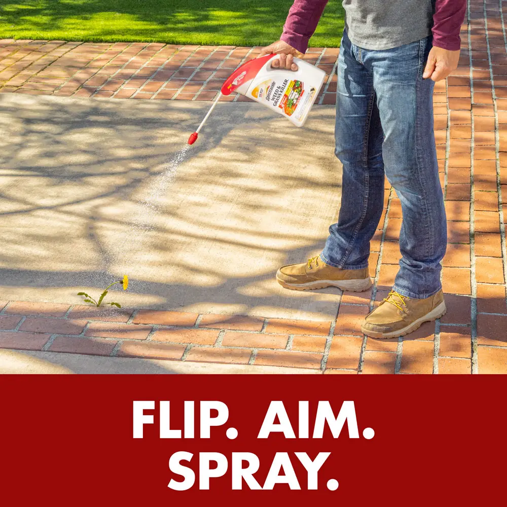 Flip Aim Spray