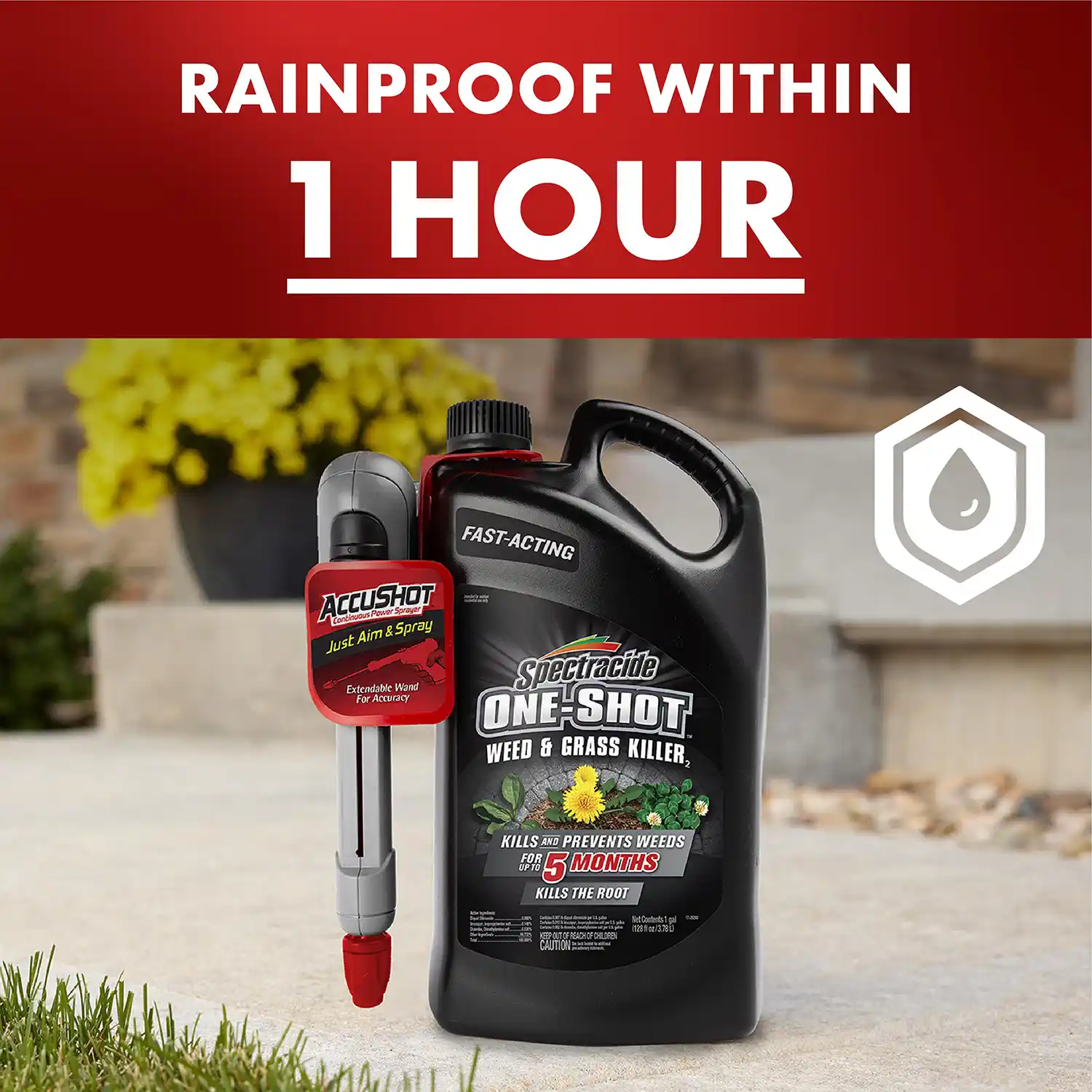 One Shot Weed and Grass Killer Accushot Refill 1 Gallon - Rainproof within 1 Hour