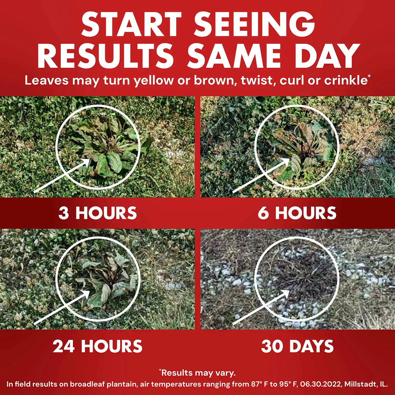 Start Seeing Results Same Day