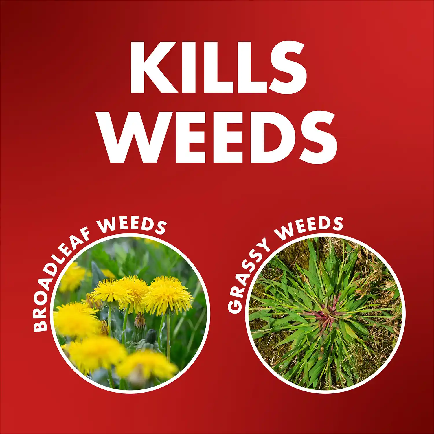 One-Shot® Weed & Grass Killer Concentrate2 32 fl oz - Kills Weeds