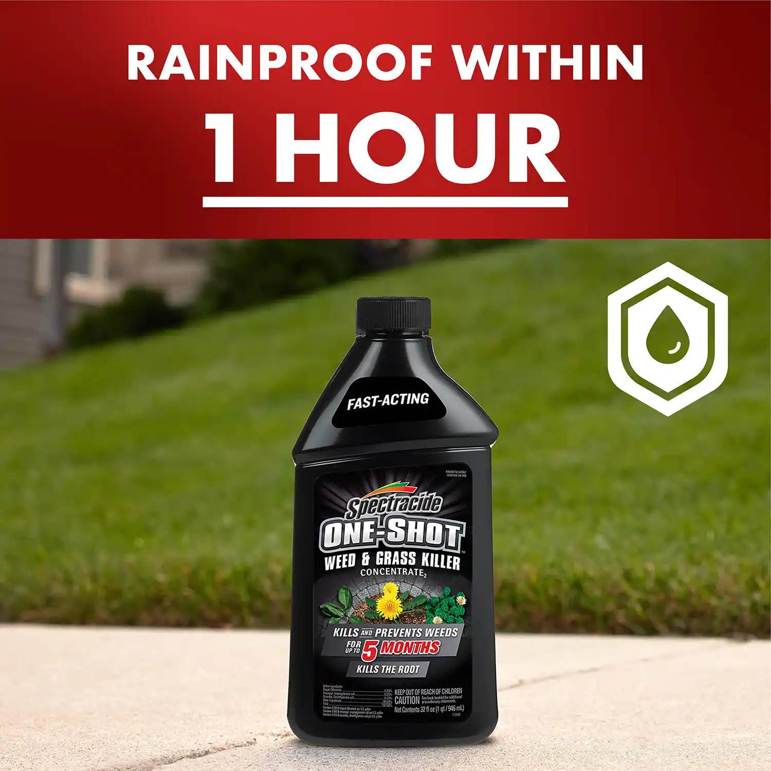 One-Shot® Weed & Grass Killer Concentrate2 32 fl oz - Rainproof within 1 Hour