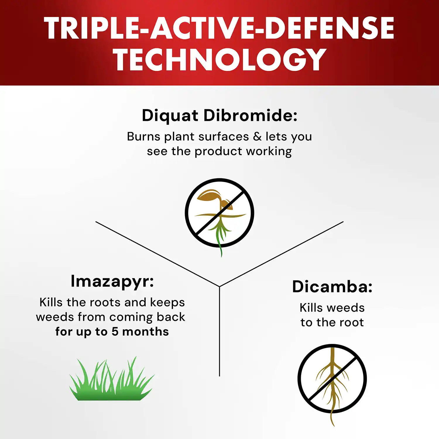 One-Shot® Weed & Grass Killer Concentrate2 32 fl oz - Triple-Active-Defense Technology