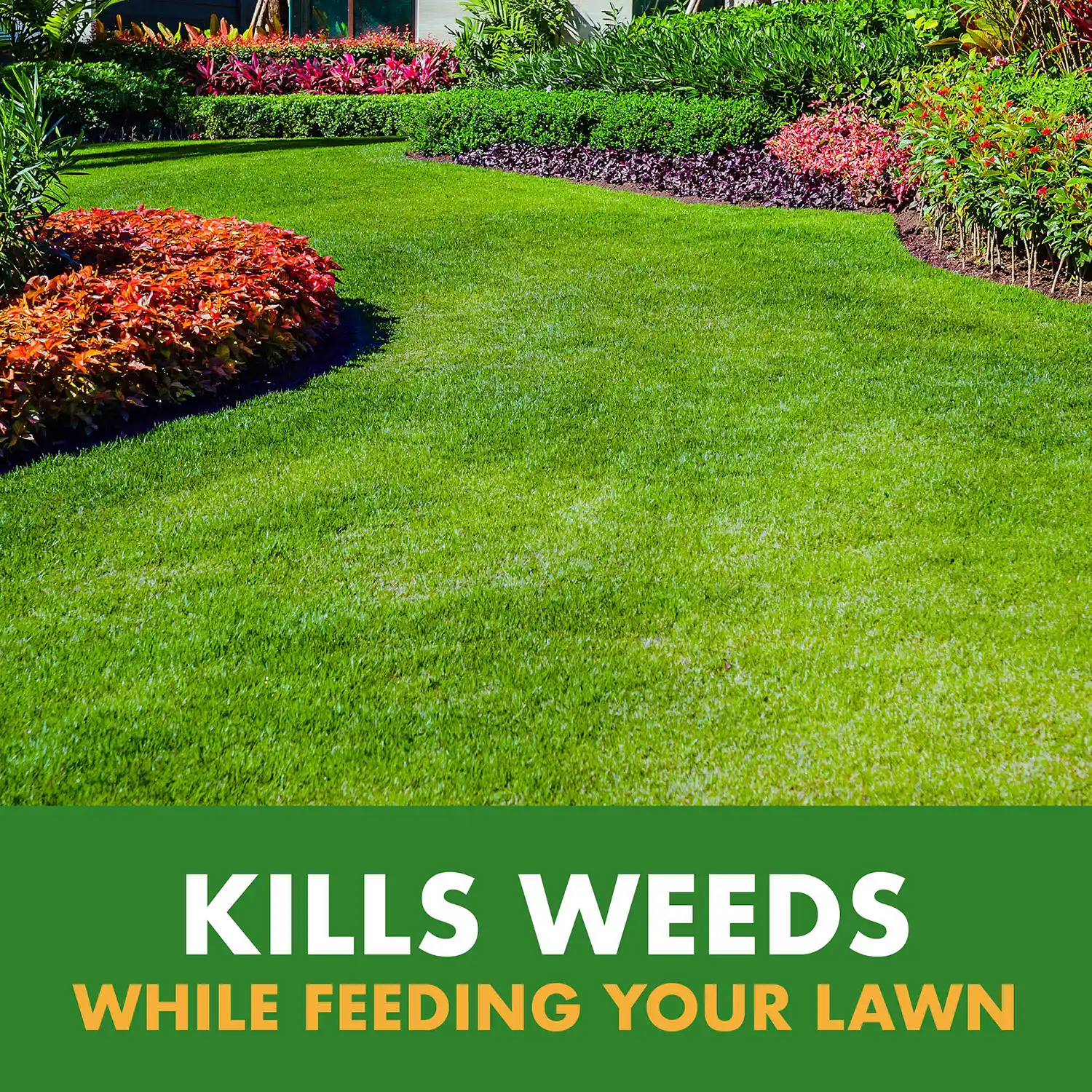 KILLS WEEDS WHILE FEEDING YOUR LAWN