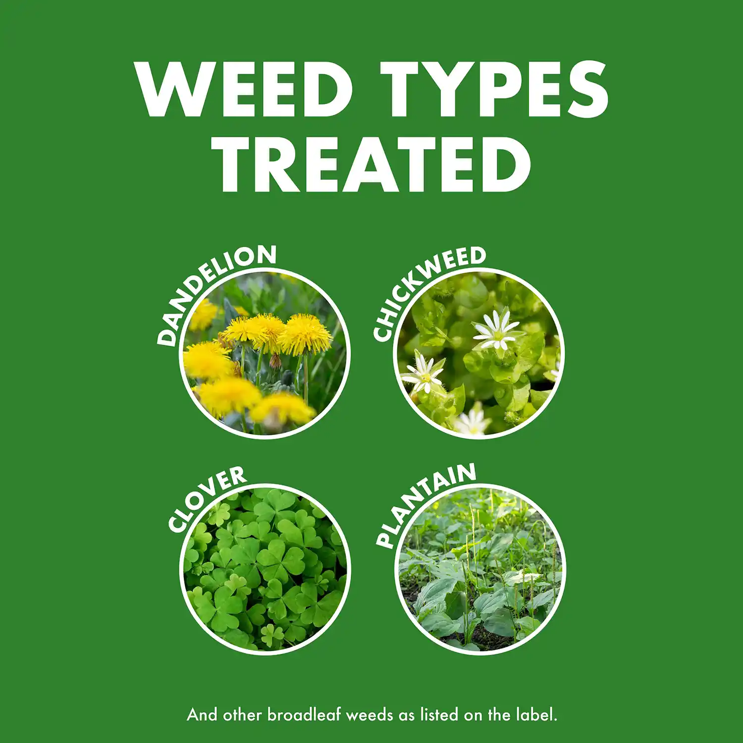 WEED TYPES TREATED
