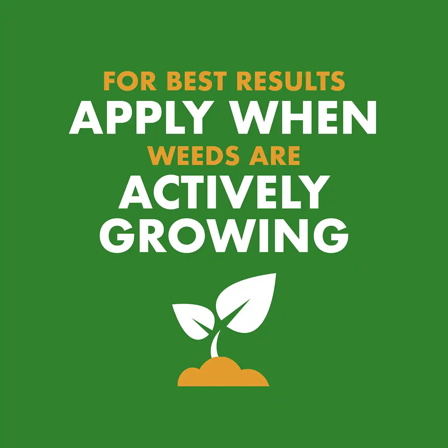 FOR BEST RESULTS APPLY WHEN WEEDS ARE ACTIVELY GROWING