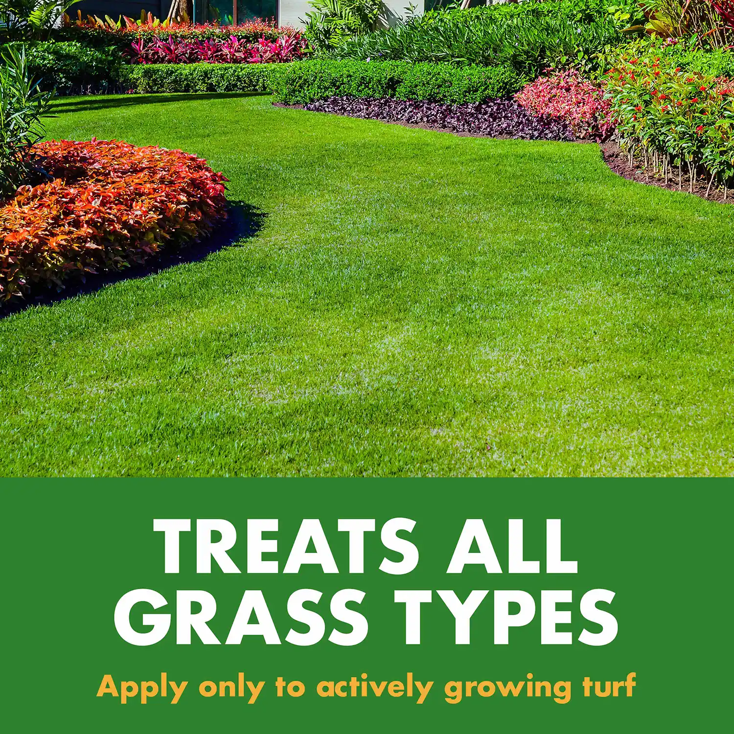 TREATS ALL GRASS TYPES Apply only to actively growing turf